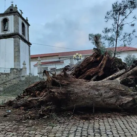 Casa Angulosa Casa de Férias Covilhã