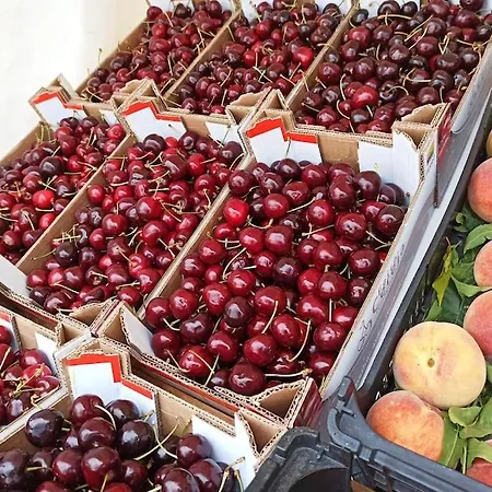 펜션 Casa Angulosa *